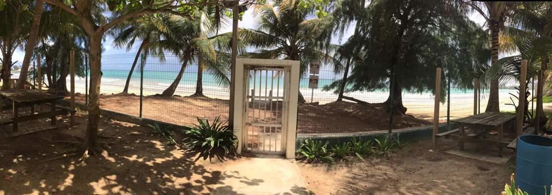 Beach Front Apt Isla Verde 2 Apartment San Juan Exterior photo